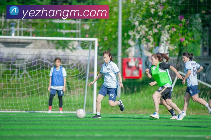 线上买球APP 封面图